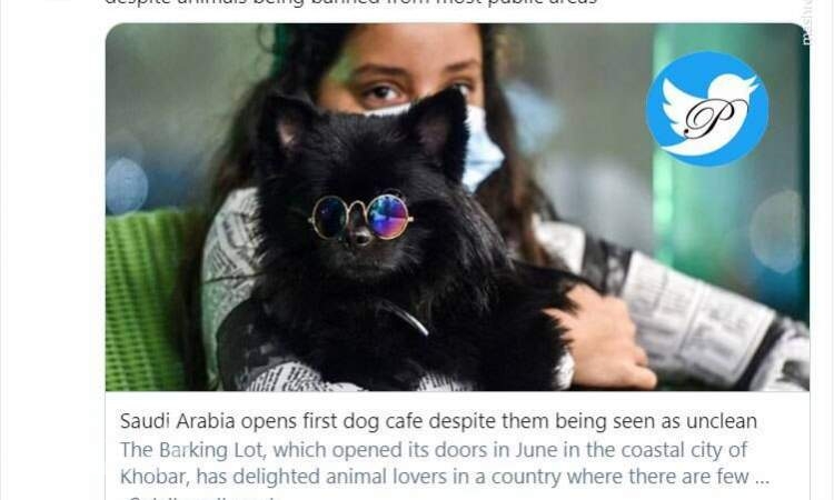 افتتاح اولین کافه سگ‌ها در عربستان