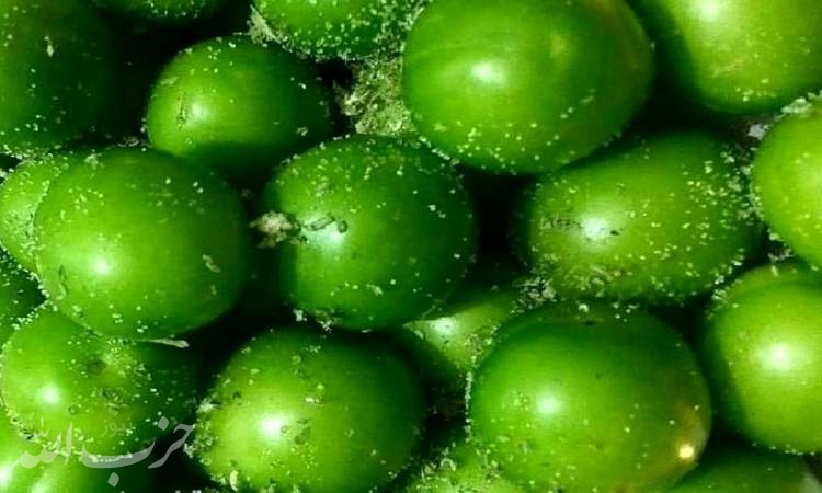 قیمت ۱۰ میوه گران در میادین میوه و تره بار تهران
