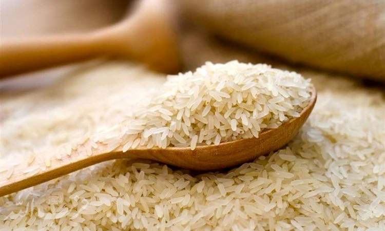 «فقط ۱۵ میلیون ایرانی راحت برنج می‌خرند»