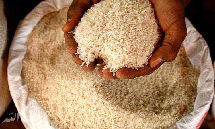 گرانی برنج ادامه‌دار شد؛ علت التهاب بازار چیست؟