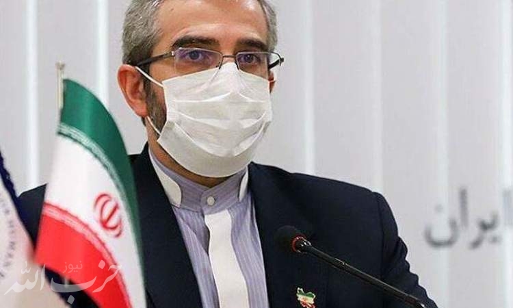 ایران با اراده جدی وارد مذاکرات وین شده است