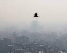 علت آلودگی شدید هوای تهران چه بود؟